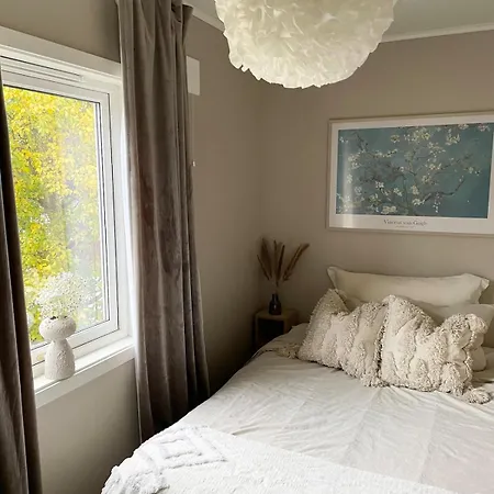 Apartment Cozy And Spacious